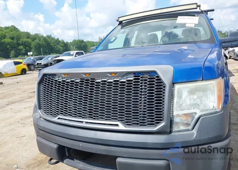 2010 Ford F-150 Stx/Xl/Xlt z USA, uszkodzony, nr VIN 1FTEX1E81AFC69211